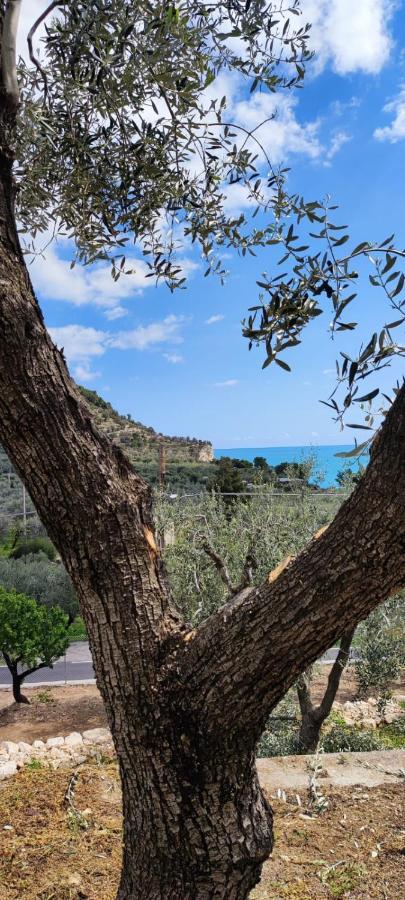 מאטינאטה Dimora Mediterranea מראה חיצוני תמונה